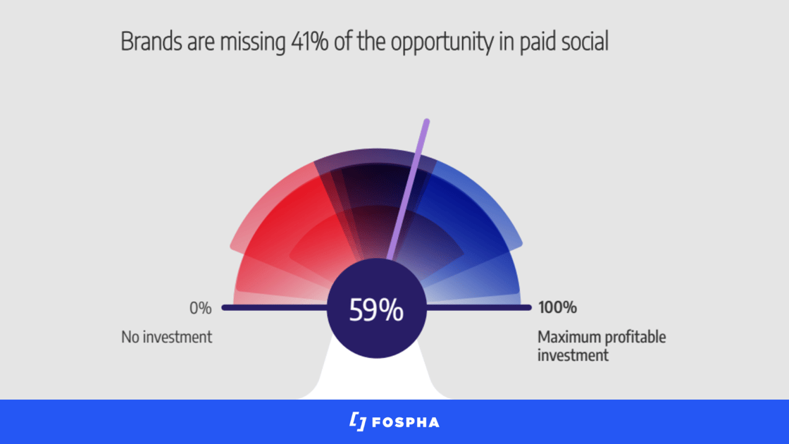 41%